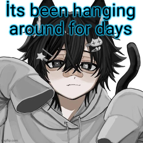 tfym I ain't masculine? | İts been hanging around for days | image tagged in tfym i ain't masculine | made w/ Imgflip meme maker