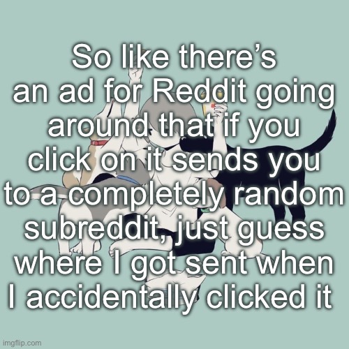 Avogado6 | So like there’s an ad for Reddit going around that if you click on it sends you to a completely random subreddit, just guess where I got sent when I accidentally clicked it | image tagged in avogado6 | made w/ Imgflip meme maker