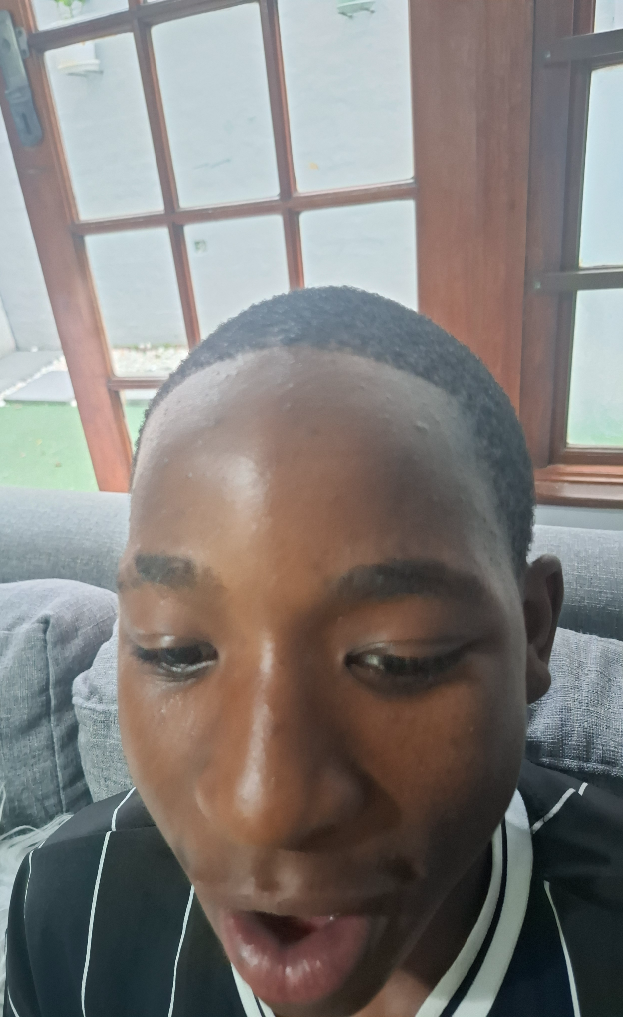 Baboon Blank Meme Template