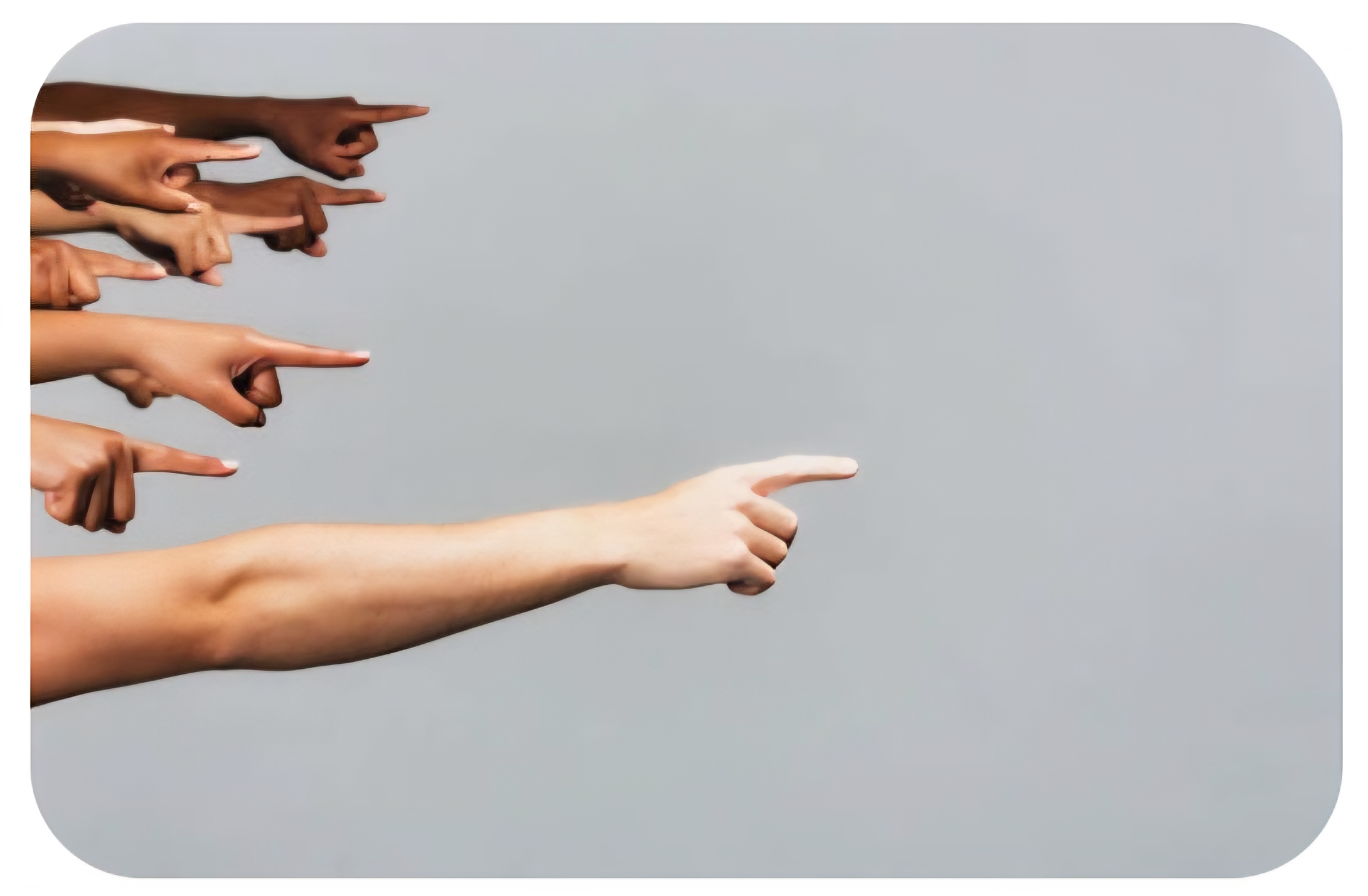 Blame Blank Meme Template