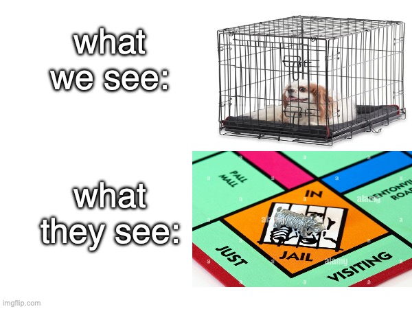 seriously though my dog starts going insane when he's in there | what we see:; what they see: | image tagged in dog in jail | made w/ Imgflip meme maker