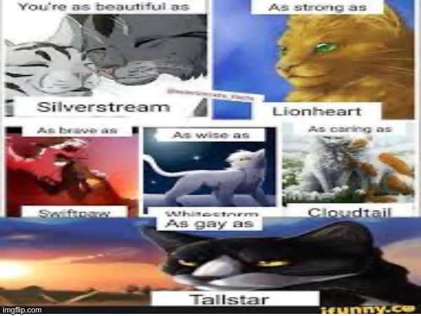 Yall idk what the heck this is | made w/ Imgflip meme maker