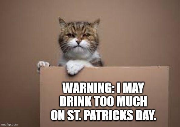 Warning: This cat might drink too much on St. Patricks Day. | WARNING: I MAY DRINK TOO MUCH ON ST. PATRICKS DAY. | image tagged in cat,kittens,funny,humor,st patricks day,drinking | made w/ Imgflip meme maker