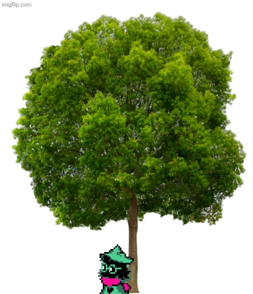 Something to feed the people who actually like these | image tagged in tree | made w/ Imgflip meme maker