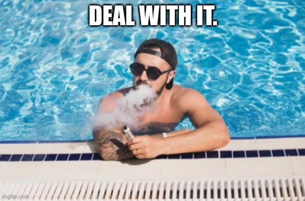 DEAL WITH IT. | made w/ Imgflip meme maker