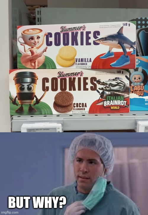 BUT WHY? | image tagged in but why,italian brainrot | made w/ Imgflip meme maker