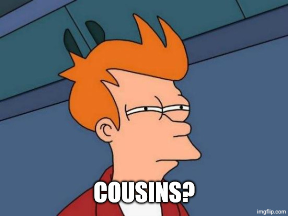Futurama Fry Meme | COUSINS? | image tagged in memes,futurama fry | made w/ Imgflip meme maker