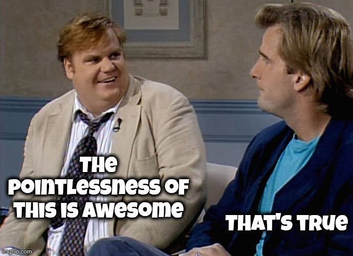 Remember that time | The pointlessness of this is awesome That's true | image tagged in remember that time | made w/ Imgflip meme maker