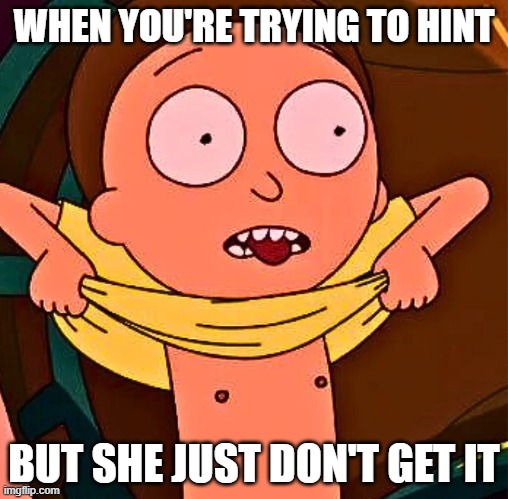 Flash Me | WHEN YOU'RE TRYING TO HINT; BUT SHE JUST DON'T GET IT | image tagged in sex jokes | made w/ Imgflip meme maker