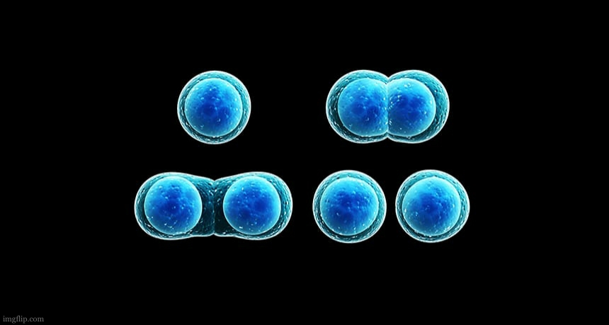 One becoming two | image tagged in one becoming two | made w/ Imgflip meme maker