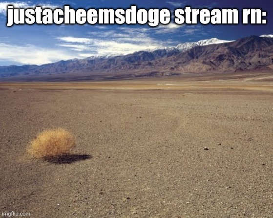 this also applies to this stream btw | justacheemsdoge stream rn: | image tagged in desert tumbleweed | made w/ Imgflip meme maker