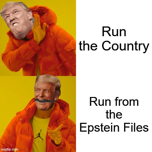 Run... | Run the Country; Run from the Epstein Files | image tagged in memes,drake hotline bling | made w/ Imgflip meme maker