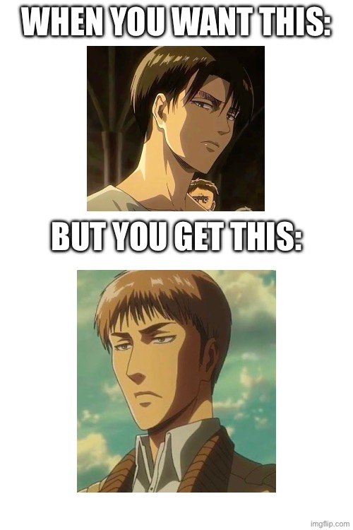 Levi’s Jeans | WHEN YOU WANT THIS:; BUT YOU GET THIS: | image tagged in attack on titan,funny | made w/ Imgflip meme maker