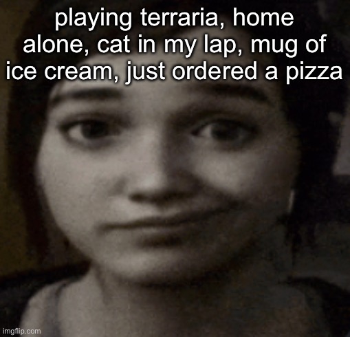 low cortisol day for me | playing terraria, home alone, cat in my lap, mug of ice cream, just ordered a pizza | image tagged in ellie | made w/ Imgflip meme maker