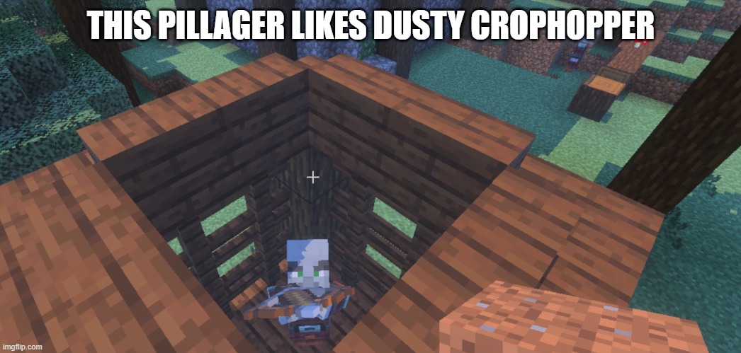Pillager | THIS PILLAGER LIKES DUSTY CROPHOPPER | image tagged in pillager | made w/ Imgflip meme maker