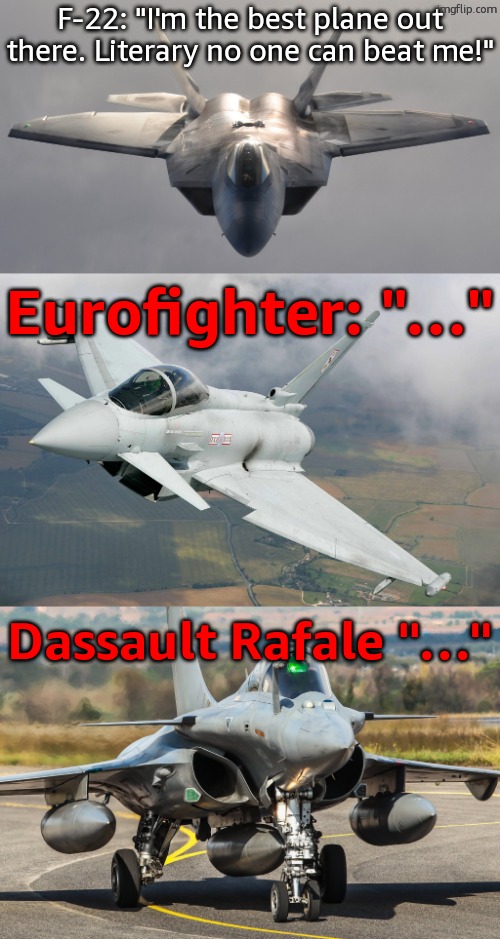 F-22: "I'm the best plane out there. Literary no one can beat me!"; Eurofighter: "…"; Dassault Rafale "…" | image tagged in f-22 raptor,eurofighter typhoon,dassault rafale | made w/ Imgflip meme maker