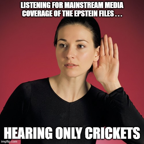 Listening for Epstein News | LISTENING FOR MAINSTREAM MEDIA COVERAGE OF THE EPSTEIN FILES . . . HEARING ONLY CRICKETS | image tagged in the epstein files,trump sucks,epstein sucked,mainstream media suck | made w/ Imgflip meme maker