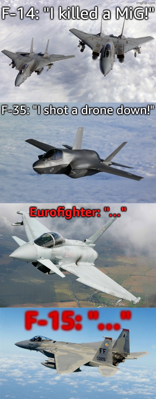 f-15 is insane for doing that | F-14: "I killed a MiG!"; F-35: "I shot a drone down!"; Eurofighter: "…"; F-15: "…" | image tagged in f 14 tomcat,f35,eurofighter typhoon,f-15 | made w/ Imgflip meme maker