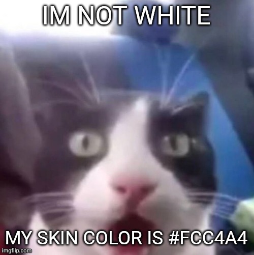 cat shocked | IM NOT WHITE; MY SKIN COLOR IS #FCC4A4 | image tagged in cat shocked | made w/ Imgflip meme maker