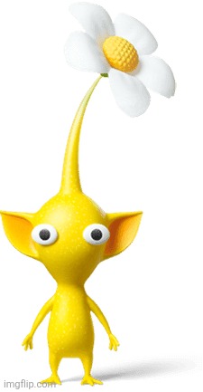 Play Nintendo Yellow Pikmin | image tagged in play nintendo yellow pikmin | made w/ Imgflip meme maker