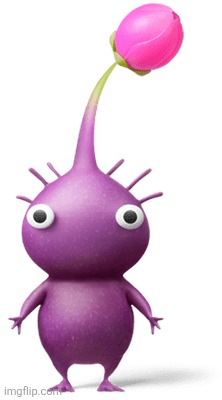 Play Nintendo Purple Pikmin | image tagged in play nintendo purple pikmin | made w/ Imgflip meme maker