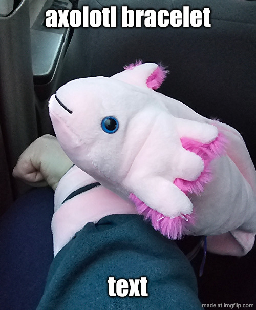axolotl bracelet | axolotl bracelet; text | made w/ Imgflip meme maker