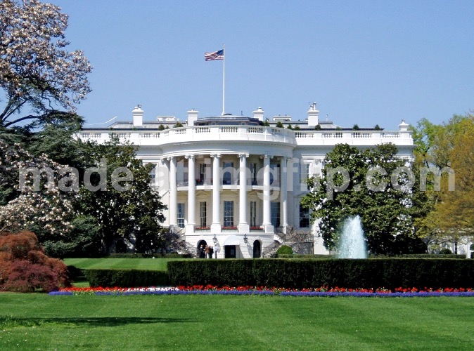 White House | image tagged in white house | made w/ Imgflip meme maker