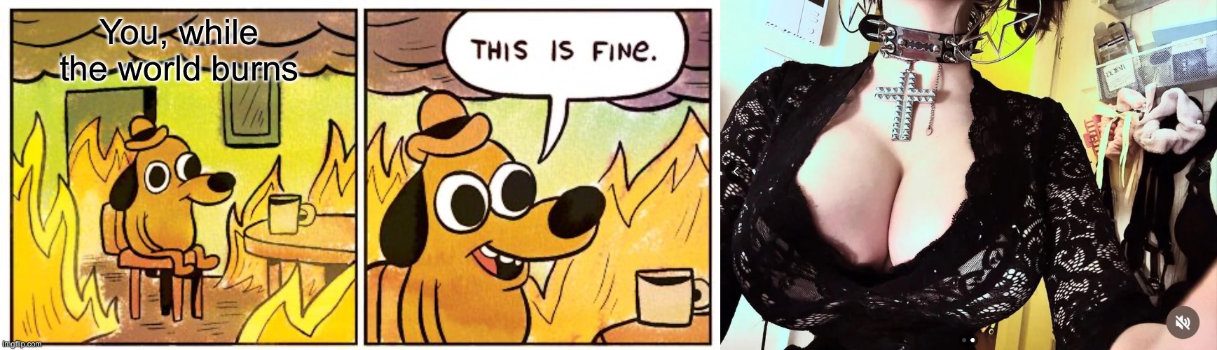 You, while the world burns | image tagged in memes,this is fine | made w/ Imgflip meme maker