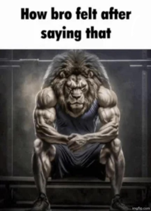 how bro felt after saying that | image tagged in how bro felt after saying that | made w/ Imgflip meme maker