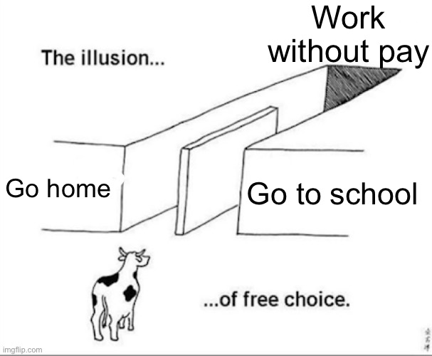 Illusion of free choice | Work without pay Go home Go to school | image tagged in illusion of free choice | made w/ Imgflip meme maker