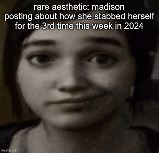 madison was genuinely a crazy ragebaiter she had all of us in a chokehold for months | rare aesthetic: madison posting about how she stabbed herself for the 3rd time this week in 2024 | image tagged in ellie | made w/ Imgflip meme maker