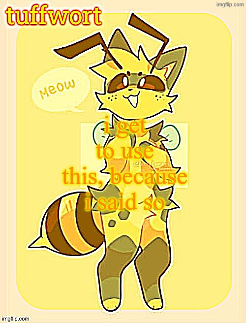 tuffwort’s beecat template | i get to use this, because i said so | image tagged in tuffwort s beecat template | made w/ Imgflip meme maker