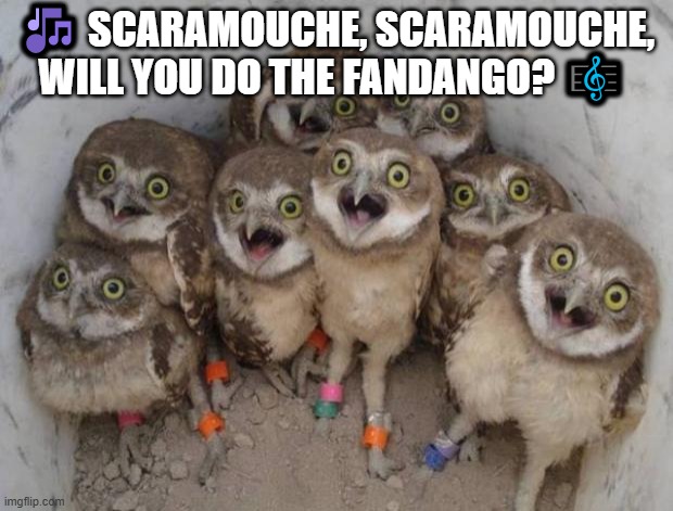 Excited Owls | 🎶 SCARAMOUCHE, SCARAMOUCHE, WILL YOU DO THE FANDANGO? 🎼 | image tagged in excited owls | made w/ Imgflip meme maker