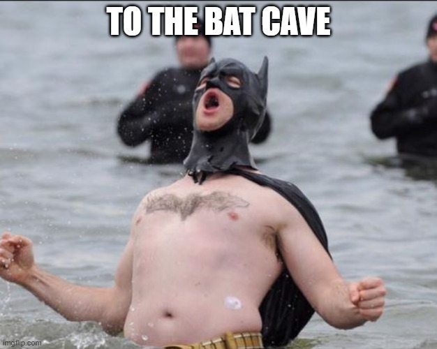 Batman Celebrates | TO THE BAT CAVE | image tagged in batman celebrates | made w/ Imgflip meme maker
