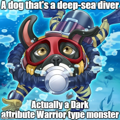 Misleading monster type and attribute 19 | A dog that's a deep-sea diver; Actually a Dark attribute Warrior type monster | image tagged in yugioh | made w/ Imgflip meme maker