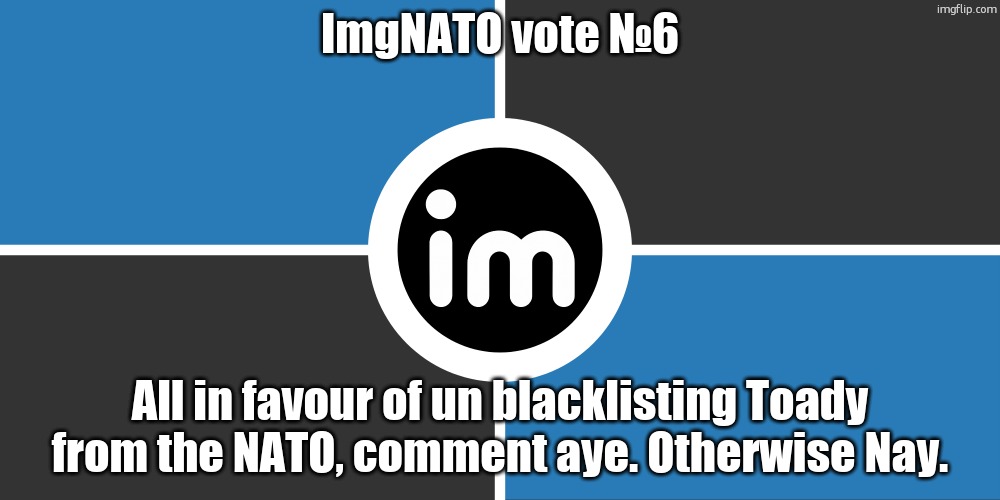 to blacklist someone is to ban them and alllll of their alts and can only be unbanned with votes. | ImgNATO vote №6; All in favour of un blacklisting Toady from the NATO, comment aye. Otherwise Nay. | image tagged in flag of the imgnato by noublacksmith | made w/ Imgflip meme maker