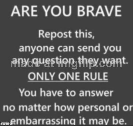 I ain’t no fraidy cat | image tagged in ask me anything | made w/ Imgflip meme maker