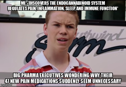 You Guys are Getting Paid