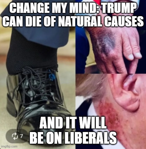 Blame game | CHANGE MY MIND: TRUMP CAN DIE OF NATURAL CAUSES; AND IT WILL BE ON LIBERALS | image tagged in blame | made w/ Imgflip meme maker