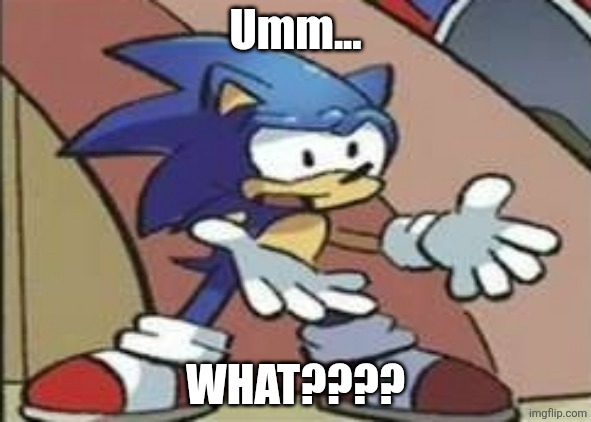 What? | Umm... WHAT???? | image tagged in what | made w/ Imgflip meme maker