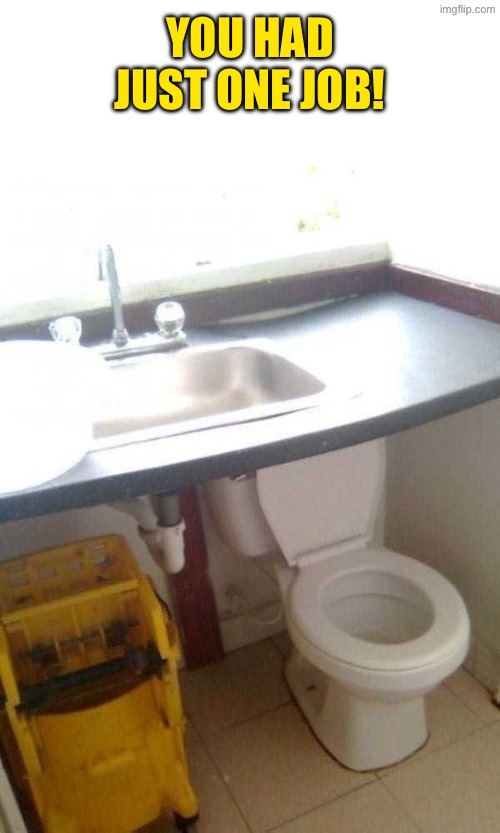 That's Nonsensical | YOU HAD JUST ONE JOB! | image tagged in you had one job,do you are have stupid,duhhh dumbass,excuse me wtf,toilets,human stupidity | made w/ Imgflip meme maker