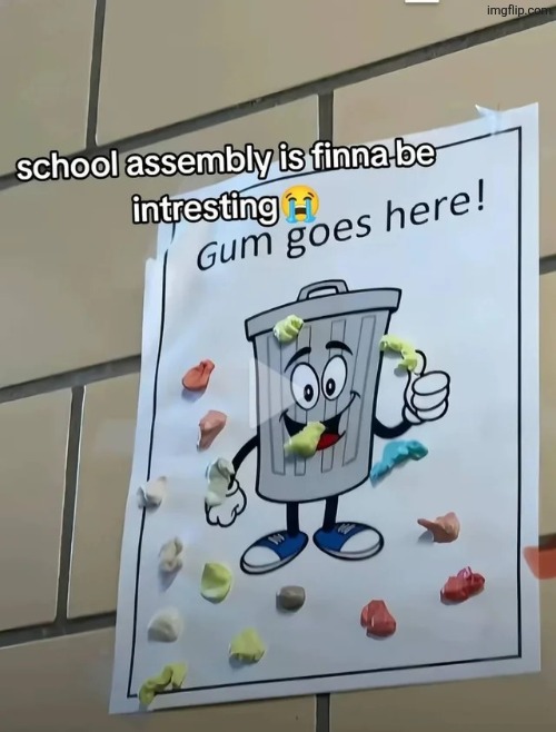 image tagged in msmg | made w/ Imgflip meme maker