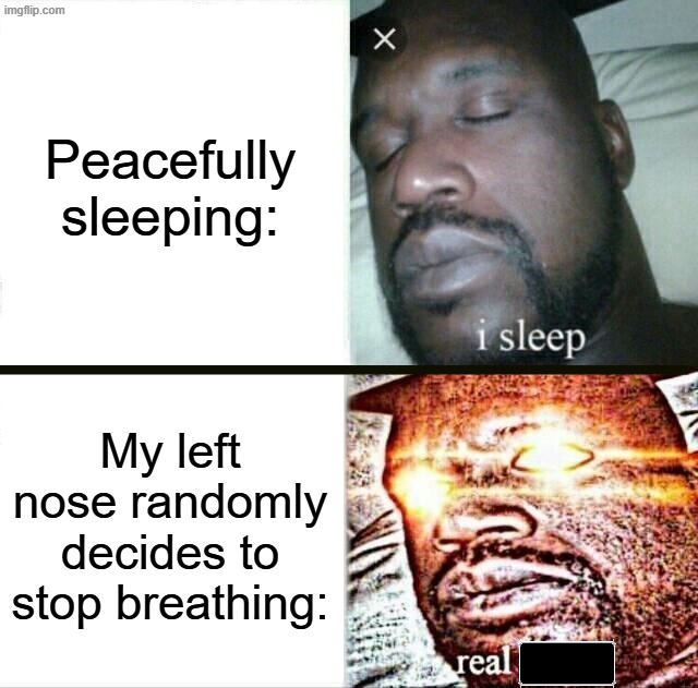 Sleeping Shaq Meme | Peacefully sleeping:; My left nose randomly decides to stop breathing: | image tagged in memes,sleeping shaq | made w/ Imgflip meme maker