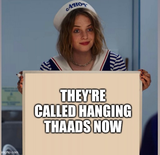 . | THEY'RE CALLED HANGING THAADS NOW | image tagged in robin scoops ahoy stranger things | made w/ Imgflip meme maker