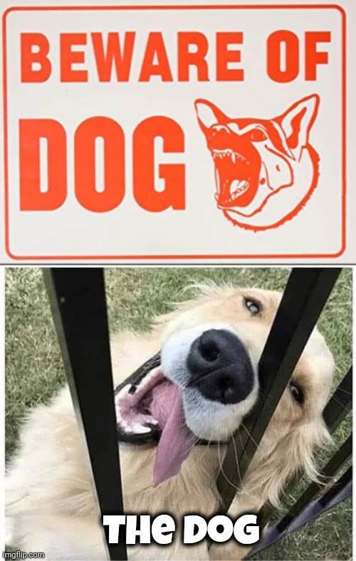 You're Fired , Report to the Head Dog | The Dog | image tagged in beware of dog sign,guard dog,well yes but actually no,mush,does your dog bite,don't worry be happy | made w/ Imgflip meme maker