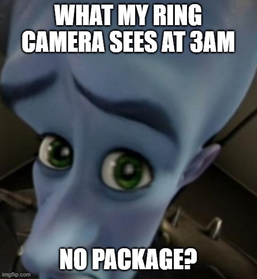 Megamind no bitches | WHAT MY RING CAMERA SEES AT 3AM; NO PACKAGE? | image tagged in megamind peeking,megamind | made w/ Imgflip meme maker