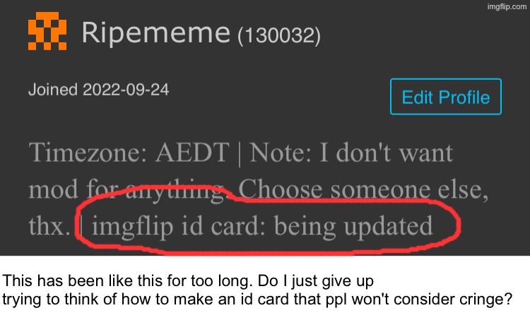 This has been like this for too long. Do I just give up trying to think of how to make an id card that ppl won't consider cringe? | made w/ Imgflip meme maker