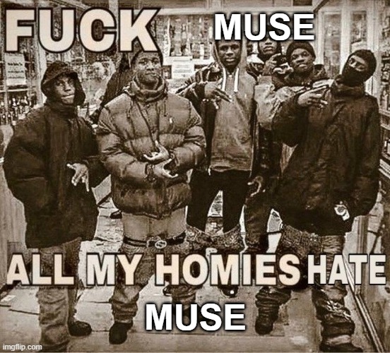 I don't like muse or wheezer ok? (blue album fire tho) | MUSE; MUSE | image tagged in all my homies hate | made w/ Imgflip meme maker