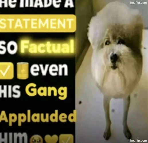 image tagged in he made a statement so factual | made w/ Imgflip meme maker