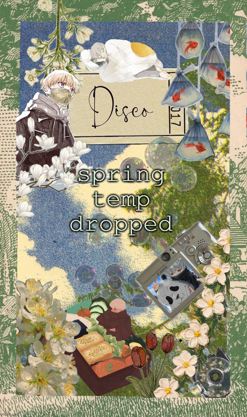 boom hours of my life wasted in canva | spring temp dropped | image tagged in disco's spring template | made w/ Imgflip meme maker